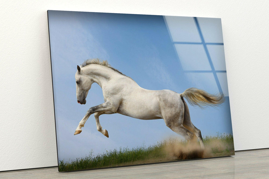 Running White Horse Glass Wall Art custom glass photo prints, large glass prints