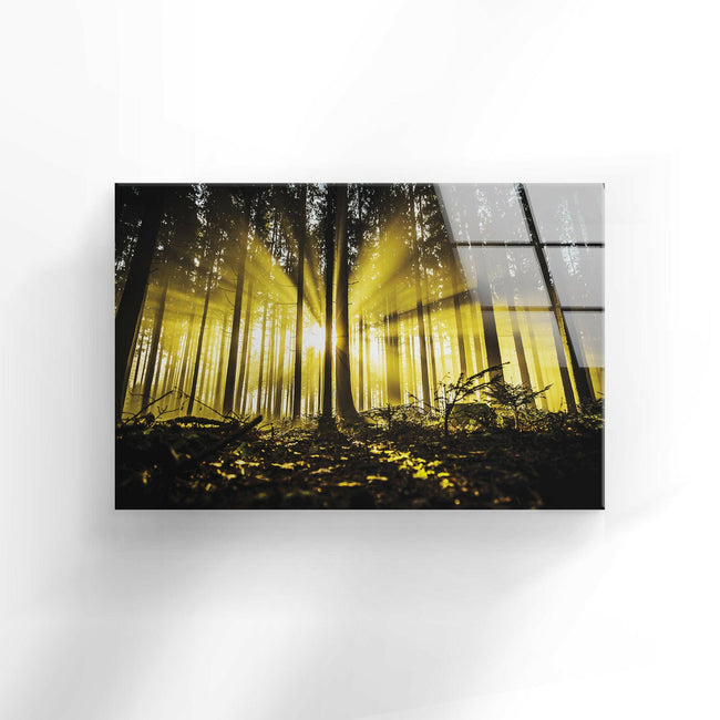Forest Autumn View Tempered Glass Wall Art - MyPhotoStation