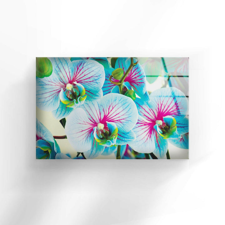 Blue & Pink Orchids Flowers Glass Wall Art, glass art painting, glass art for the Wall