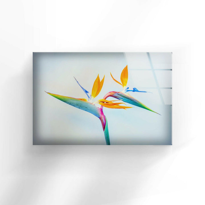 Strelitzia Flower Glass Wall Art, custom glass photo prints, large glass prints