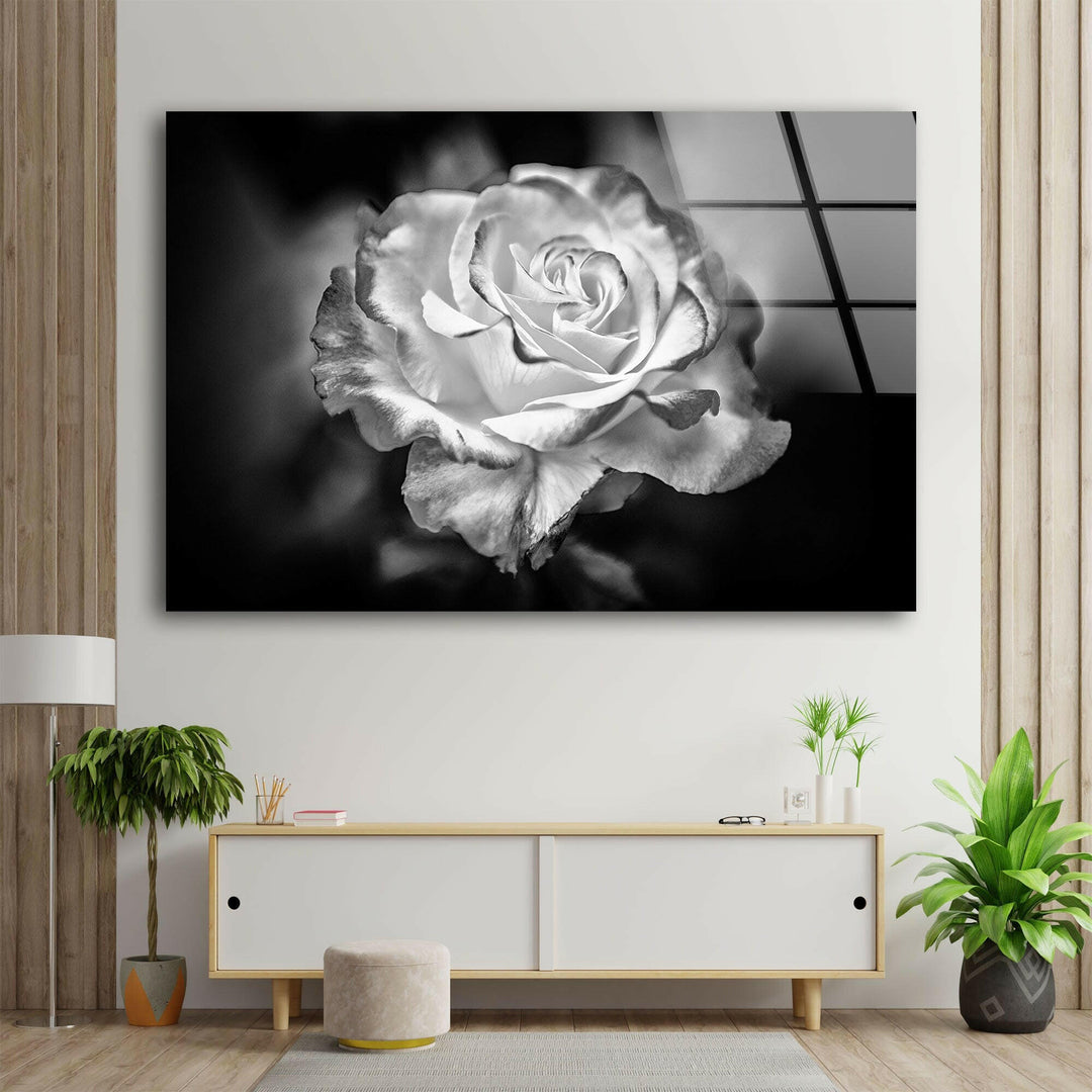 Black - White Rose Glass Wall Art, glass wall decor, glass wall art decor