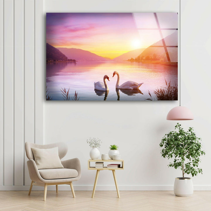 Swan Sunset Glass Wall Art photo print on glass, prints on glass wall art