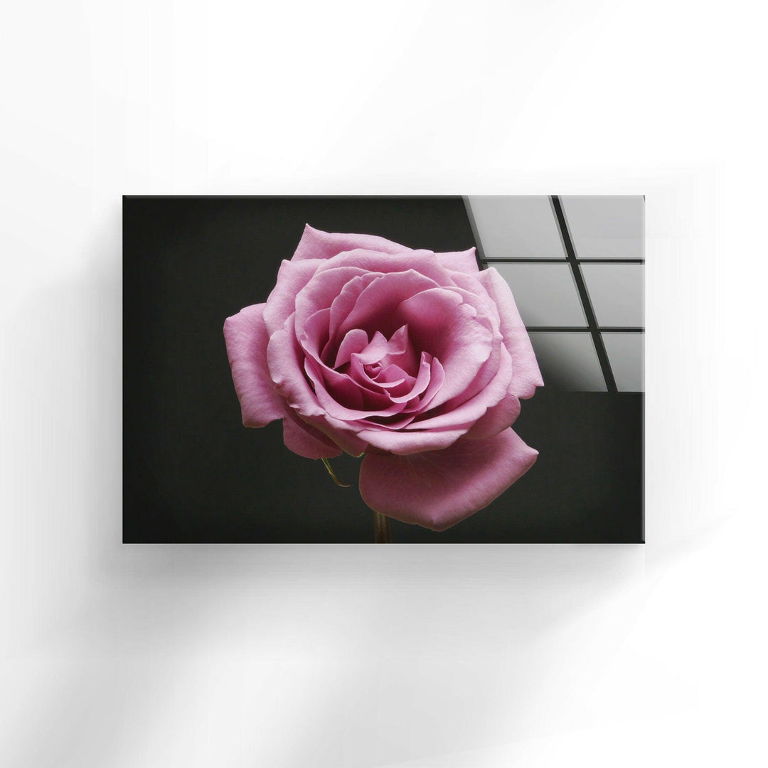 Pink Rose On Black Glass Wall Art, glass art painting, glass art for the Wall