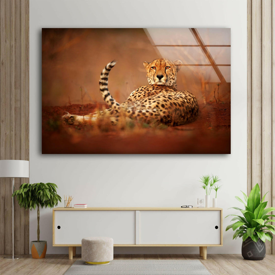 Cheetah in The Savanna Glass Wall Art             glass wall decor, glass wall art decor