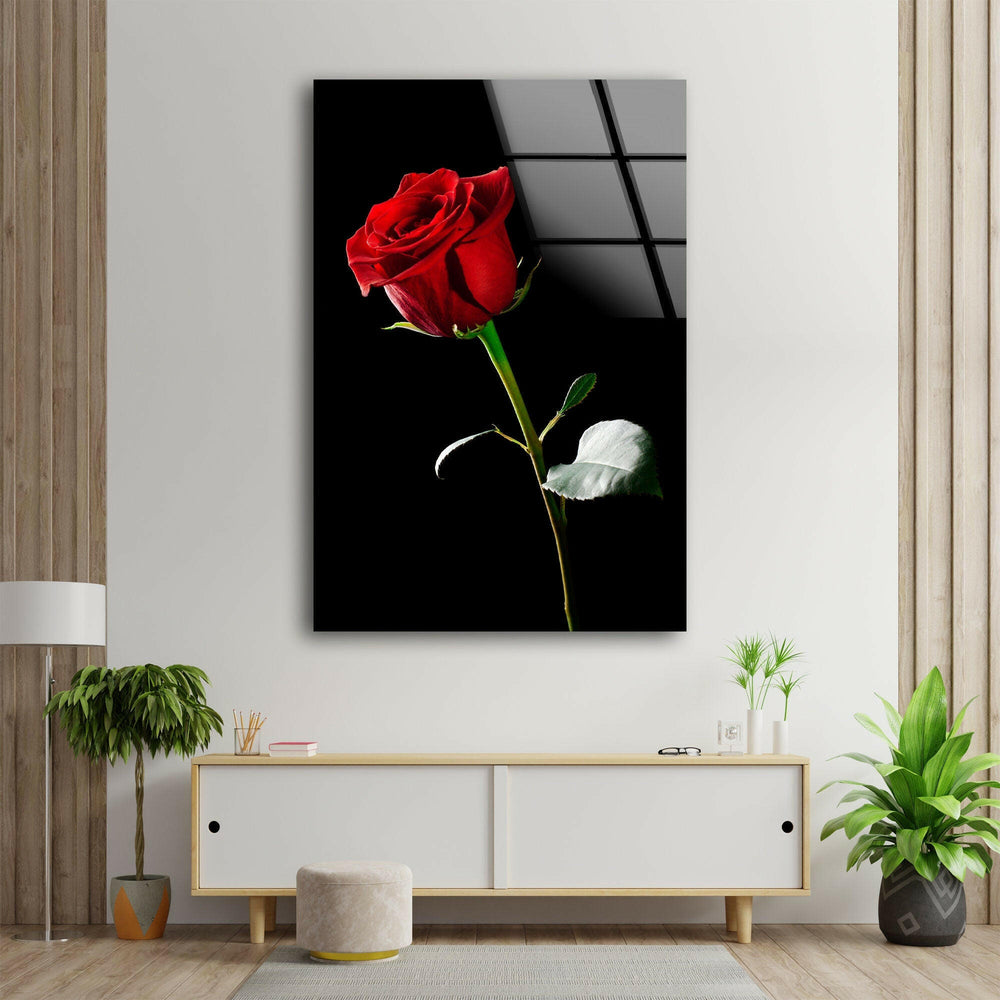 Single Red Rose On Black Glass Wall Art, glass wall decor, glass wall art decor