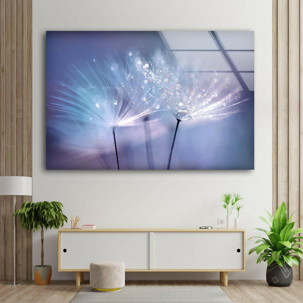 Dandelion Seed With Drops Glass Wall Art, picture on glass wall art, photos printed on glass