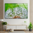 Dandelion Tempered Glass Wall Art