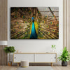 Vibrant Peacock Glass Wall Art print on glass, glass printed photos