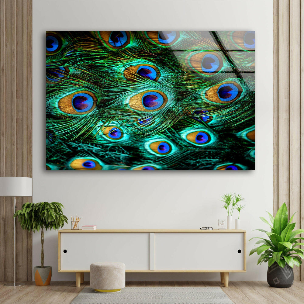 Peacock Feathers Tempered Glass Wall Art - MyPhotoStation