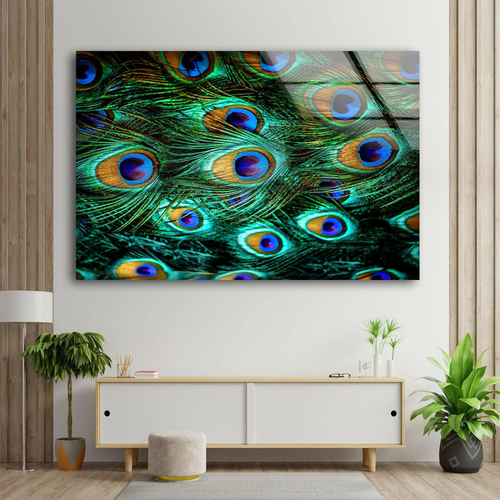 Peacock Feathers Tempered Glass Wall Art - MyPhotoStation