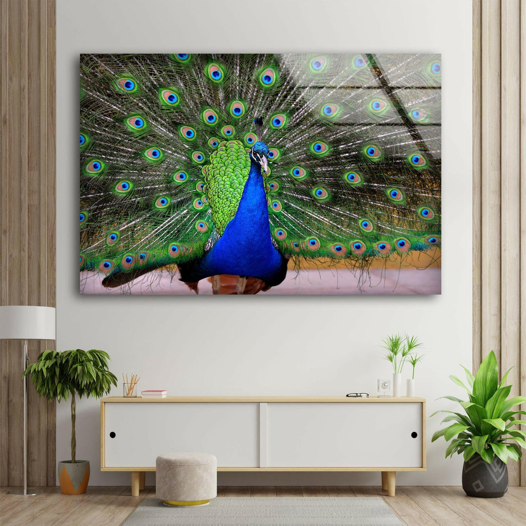 Peacock Feather Art Glass Wall Art glass art painting, glass art for the Wall