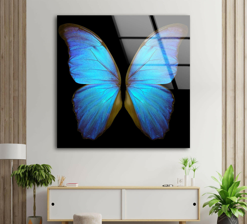 Blue Butterfly Glass Wall Art custom glass pictures, glass art prints