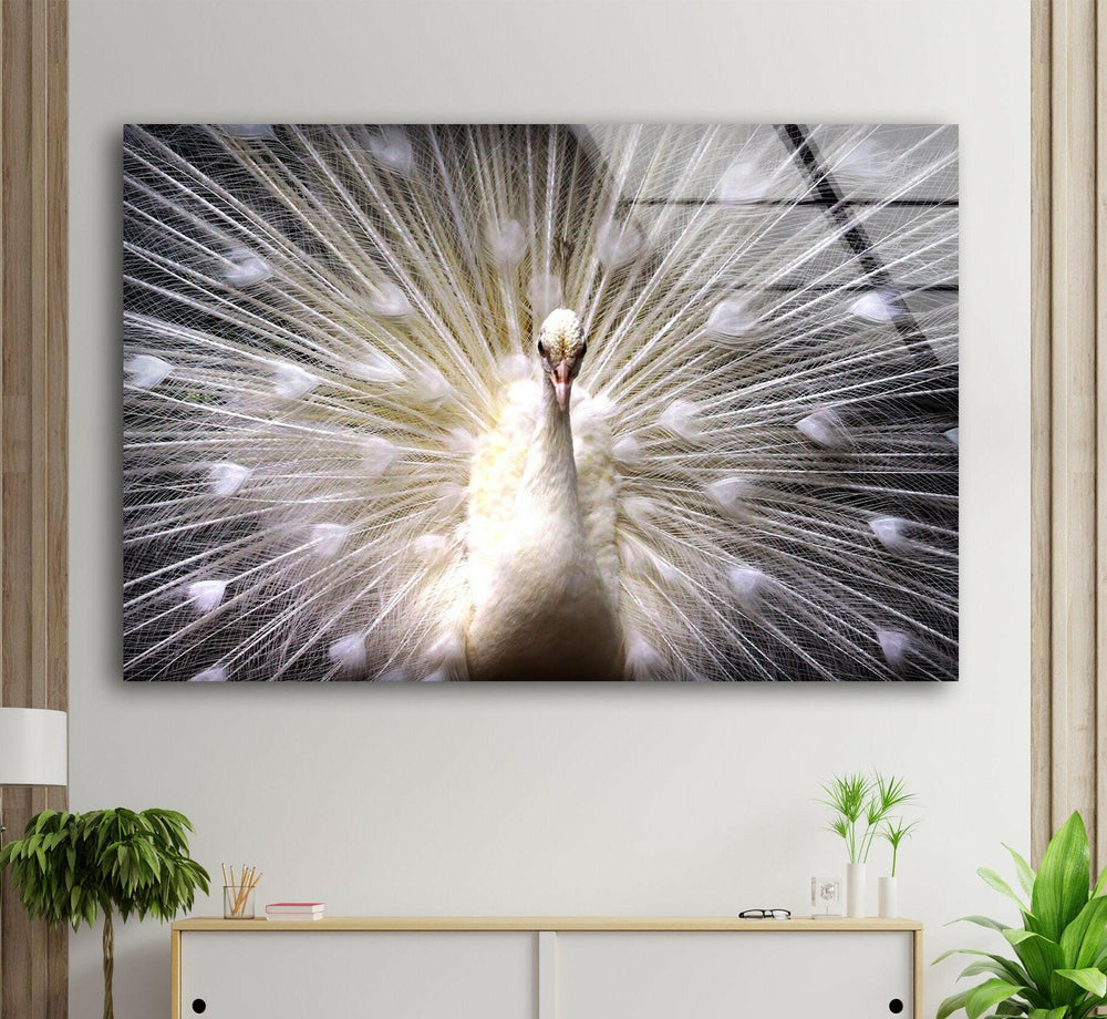 White Peacock Glass Wall Art             glass wall decor, glass wall art decor