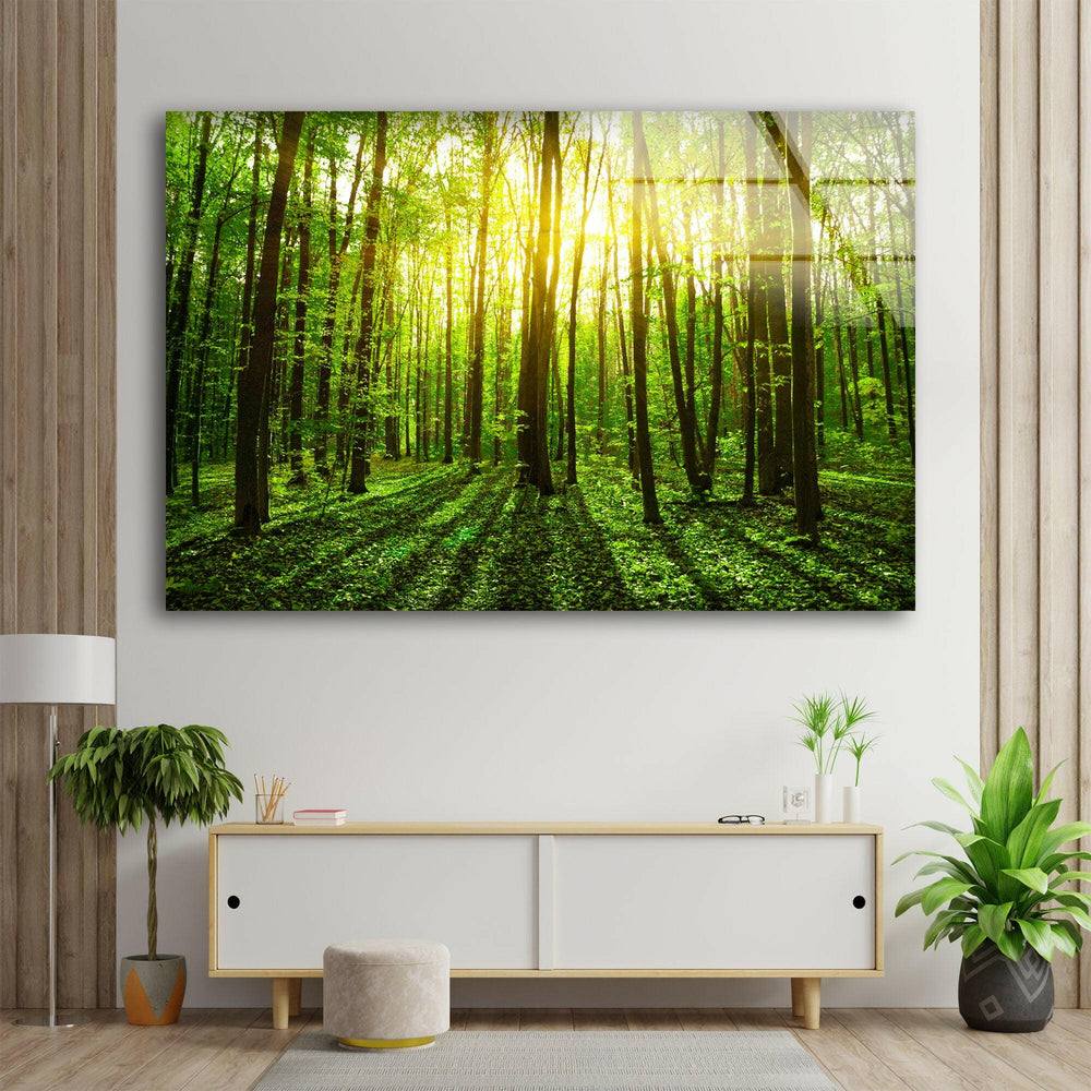 Forest Landscape Tempered Glass Wall Art - MyPhotoStation