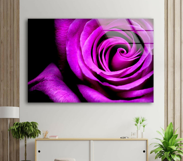 Big Purple Rose Glass Wall Art, custom glass photo prints, large glass prints
