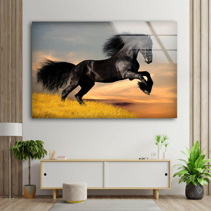 Big Black Horse Glass Wall Art glass image printing, glass prints from photos