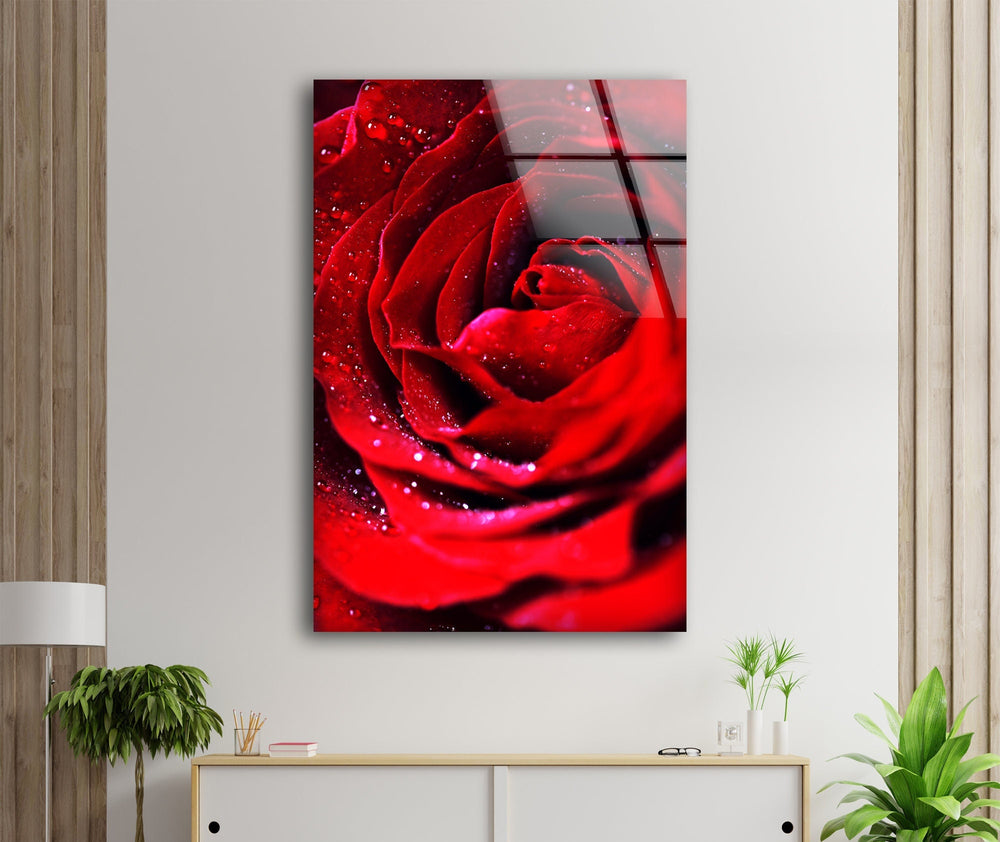 Red Rose With Water Drops Glass Wall Art, glass wall decor, glass wall art decor