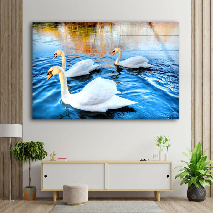 Swans on Lake Glass Wall Art glass photo prints, glass picture prints