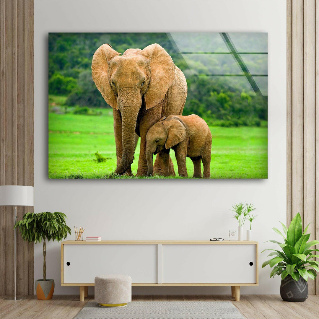 Elephants in Nature Glass Wall Art custom glass photo prints, large glass prints