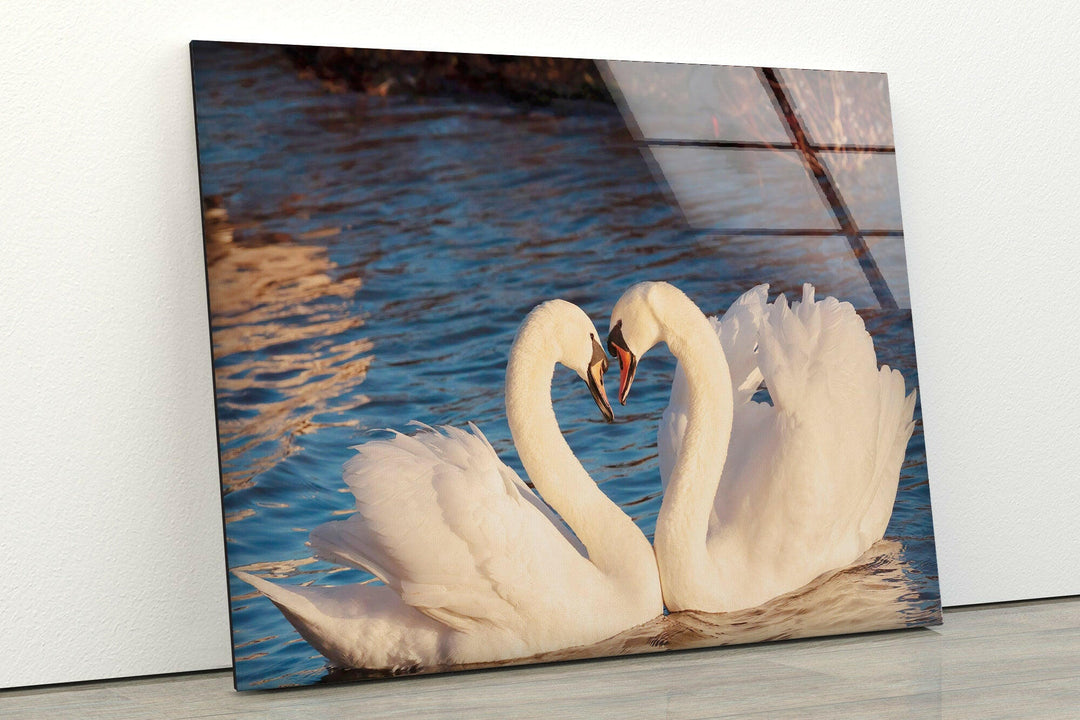 Heart of Swans Glass Wall Art custom glass pictures, glass art prints