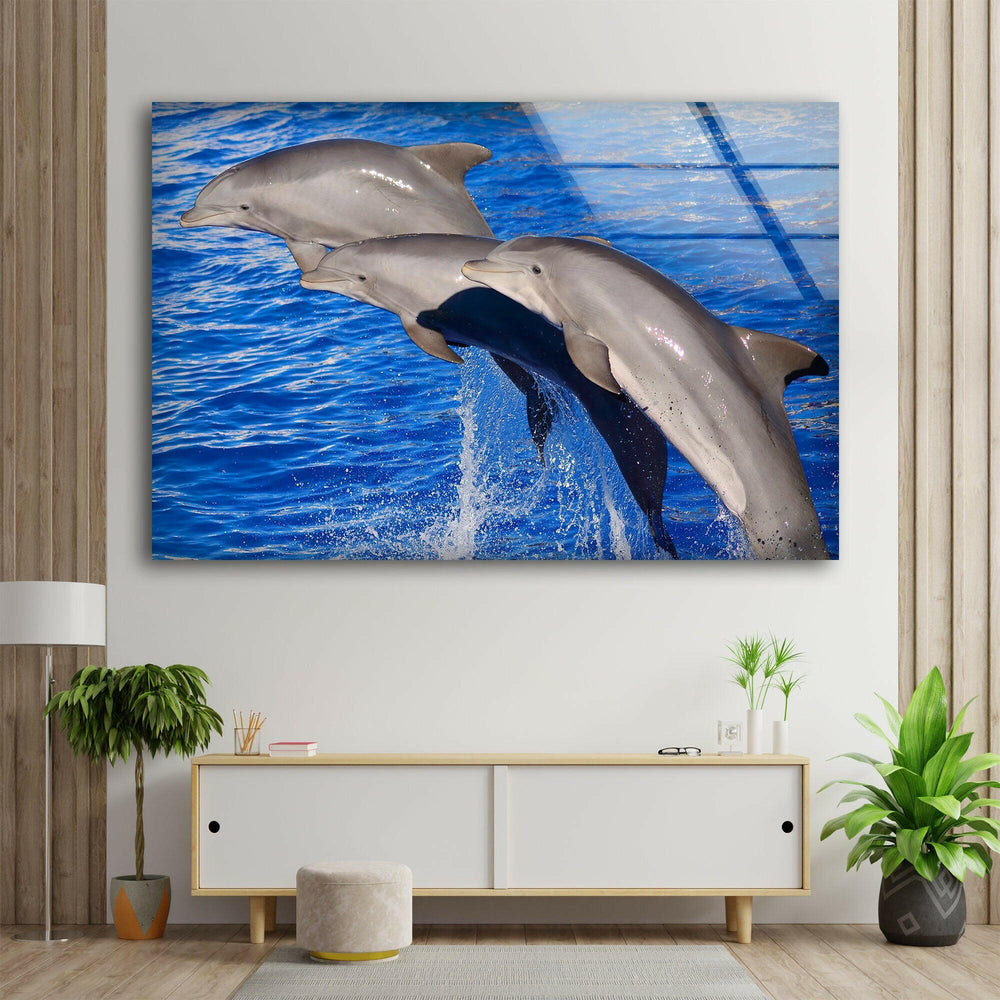 Bottlenose Dolphin Glass Wall Art custom glass pictures, glass art prints