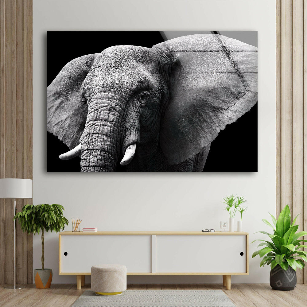 Indian Elephant Glass Wall Art photo print on glass, prints on glass wall art