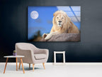 White Lion Sitting Glass Wall Art custom glass pictures, glass art prints