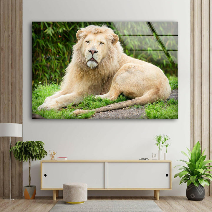 Safari Lion Glass Wall Art glass art painting, glass art for the Wall