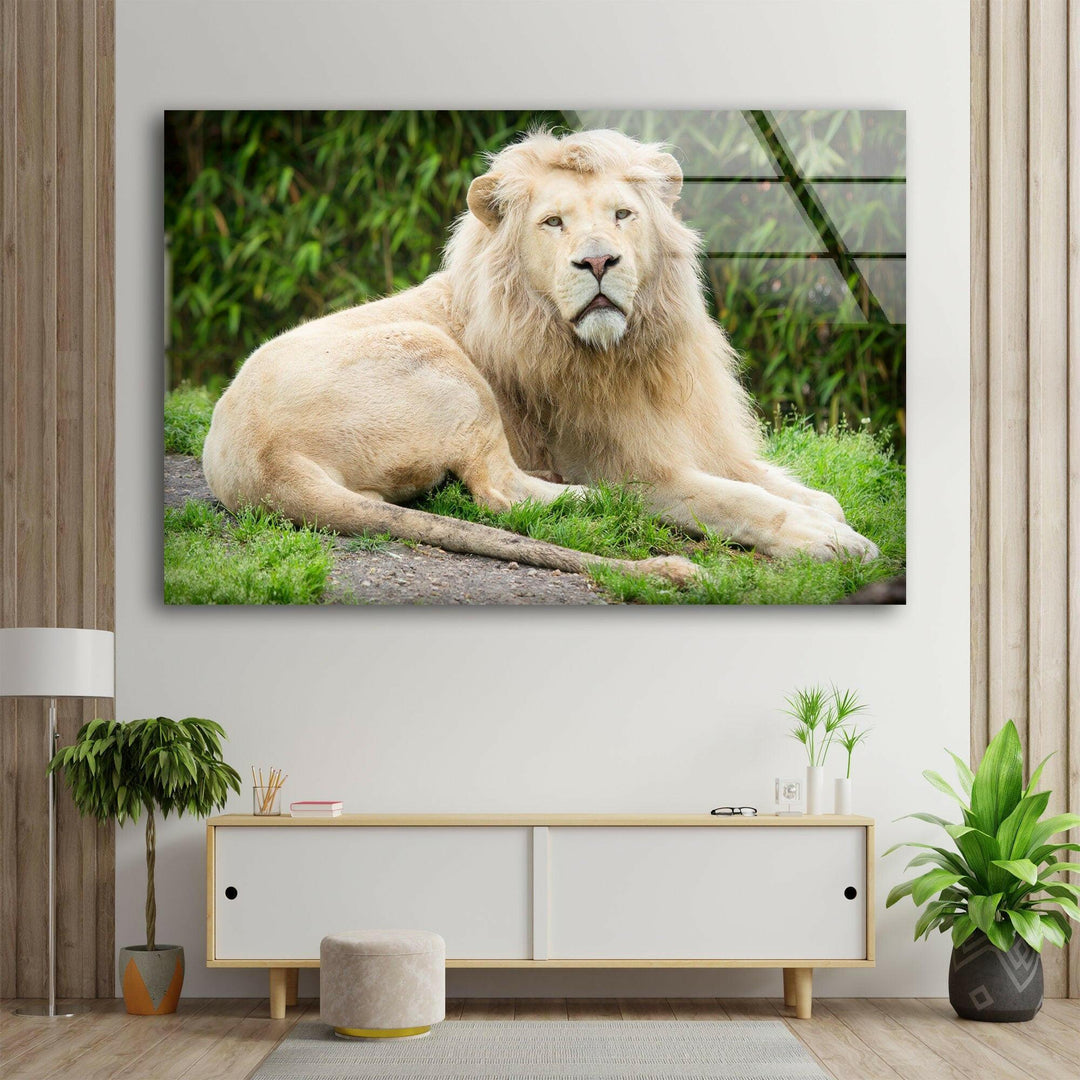 Wild White Lion Glass Wall Art             glass wall decor, glass wall art decor