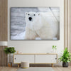 Animal Polar Bear Tempered Glass Wall Art - MyPhotoStation