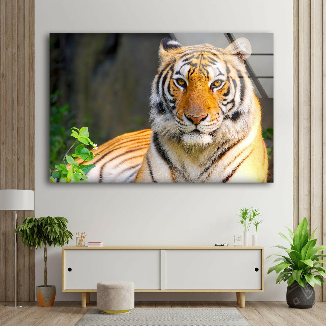 Wildlife Tiger Glass Wall Art             glass wall decor, glass wall art decor