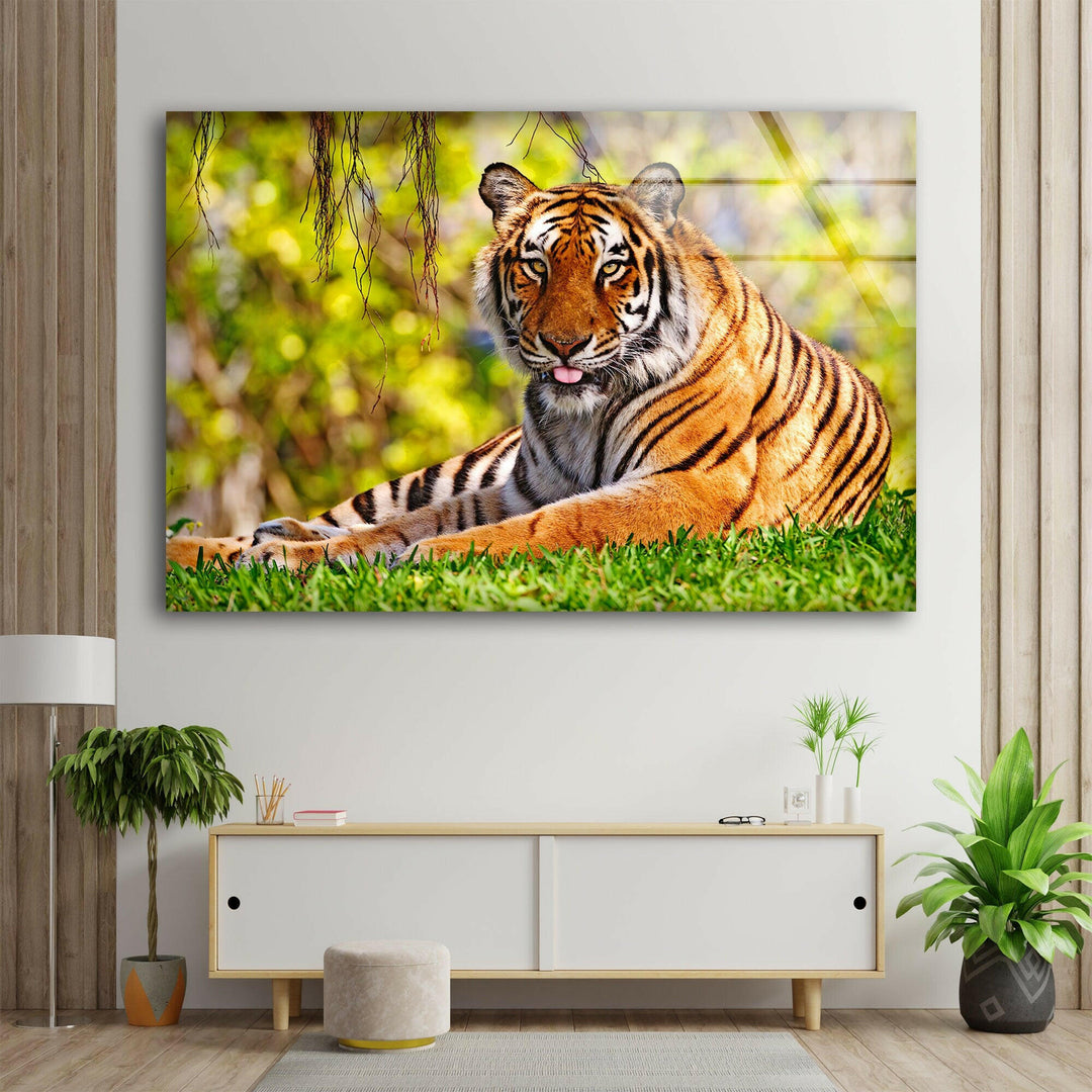 A Tiger on The Grass Glass Wall Art glass art painting, glass art for the Wall