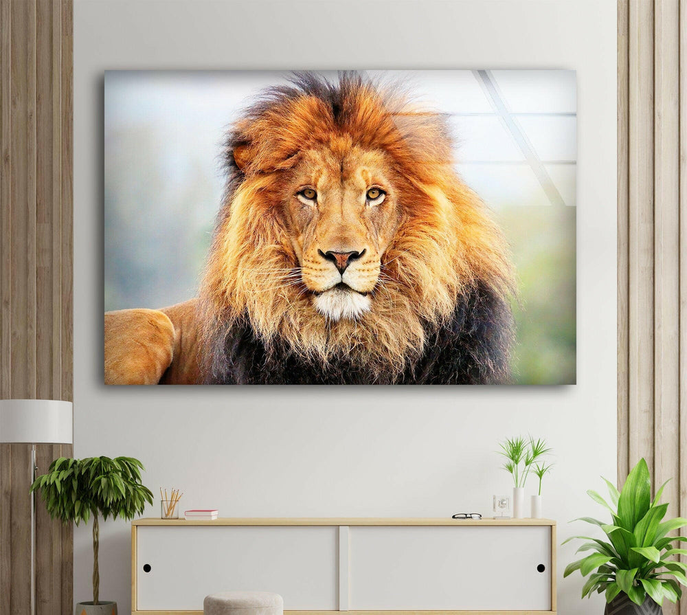 Lion King View Glass Wall Art art glass wall art, glass wall art pictures