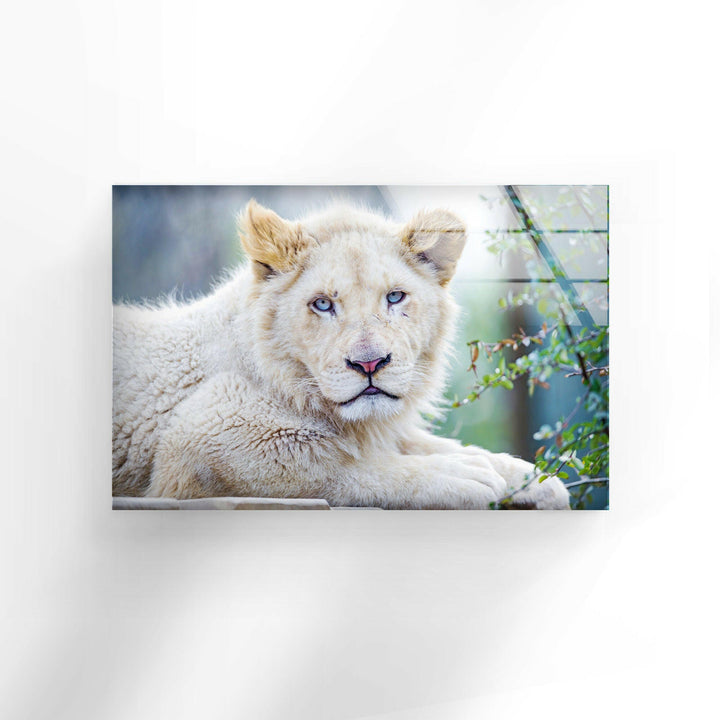 White Lion Portrait Glass Wall Art custom glass pictures, glass art prints