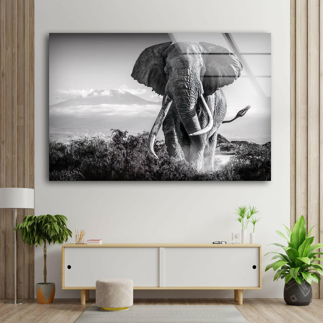 Old Elephant Running Glass Wall Art custom glass photo prints, large glass prints