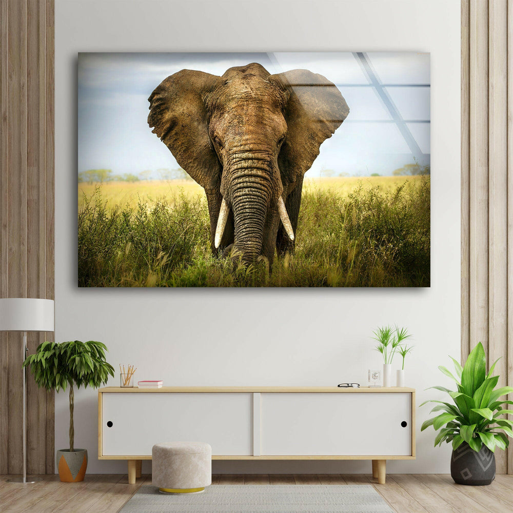 Safari Elephant Glass Wall Art glass pictures for Wall, glass prints wall art