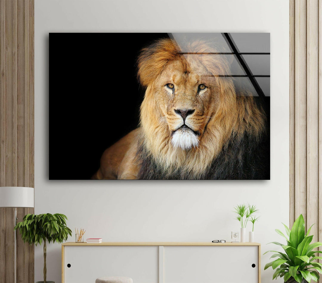 Old Lion Glass Wall Art glass image printing, glass prints from photos