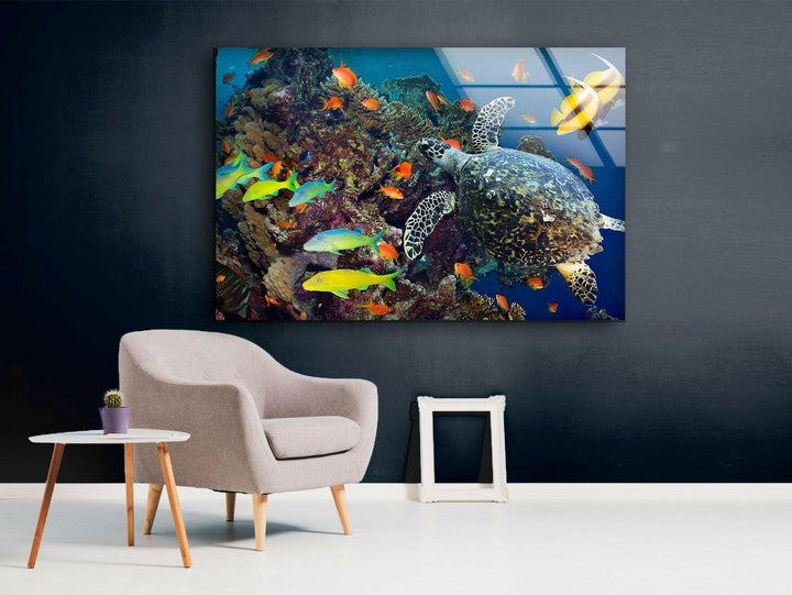 Undersea Fishes Glass Wall Art picture on glass wall art, photos printed on glass