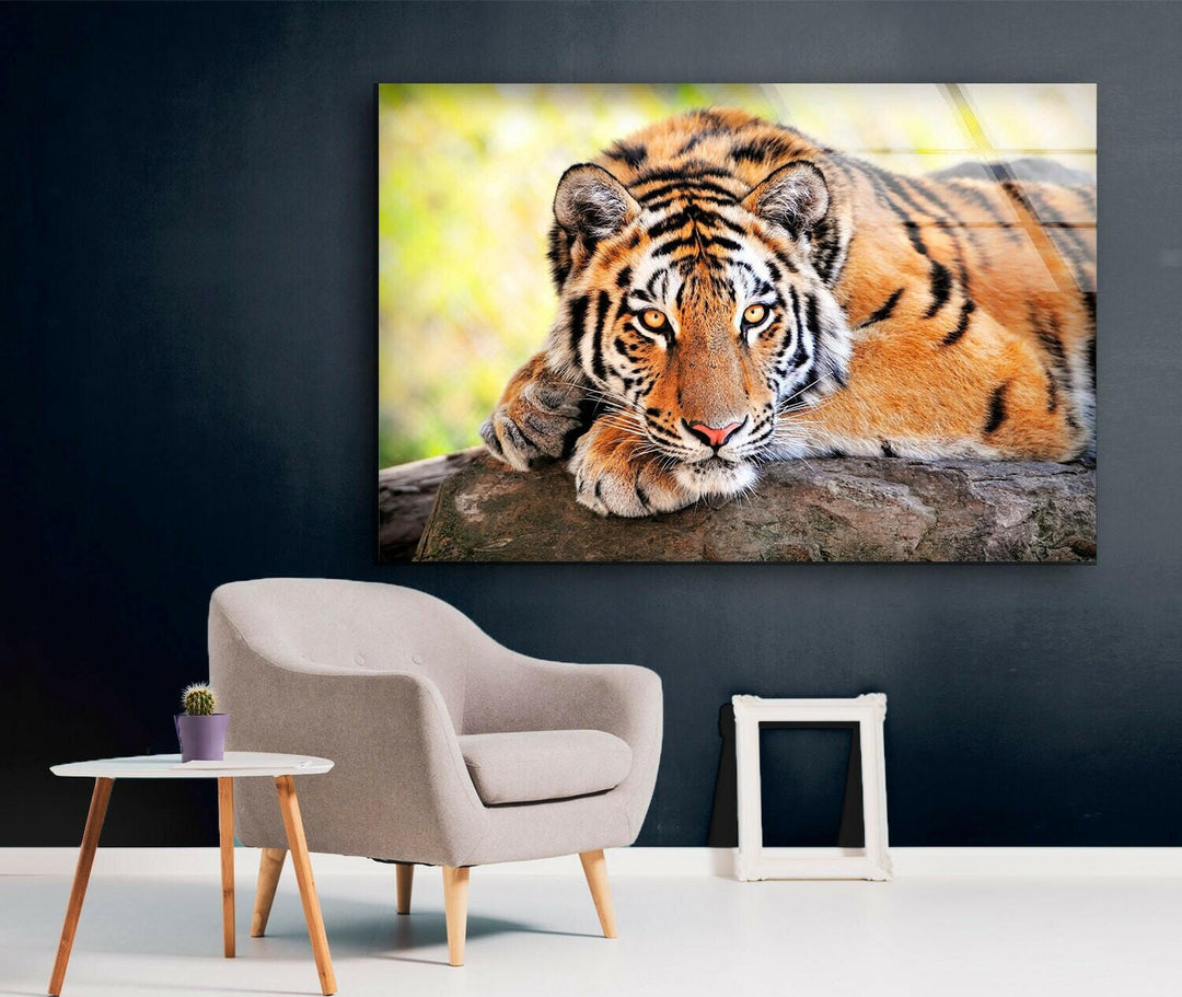 Large Tiger Laying Glass Wall Art glass art painting, glass art for the Wall