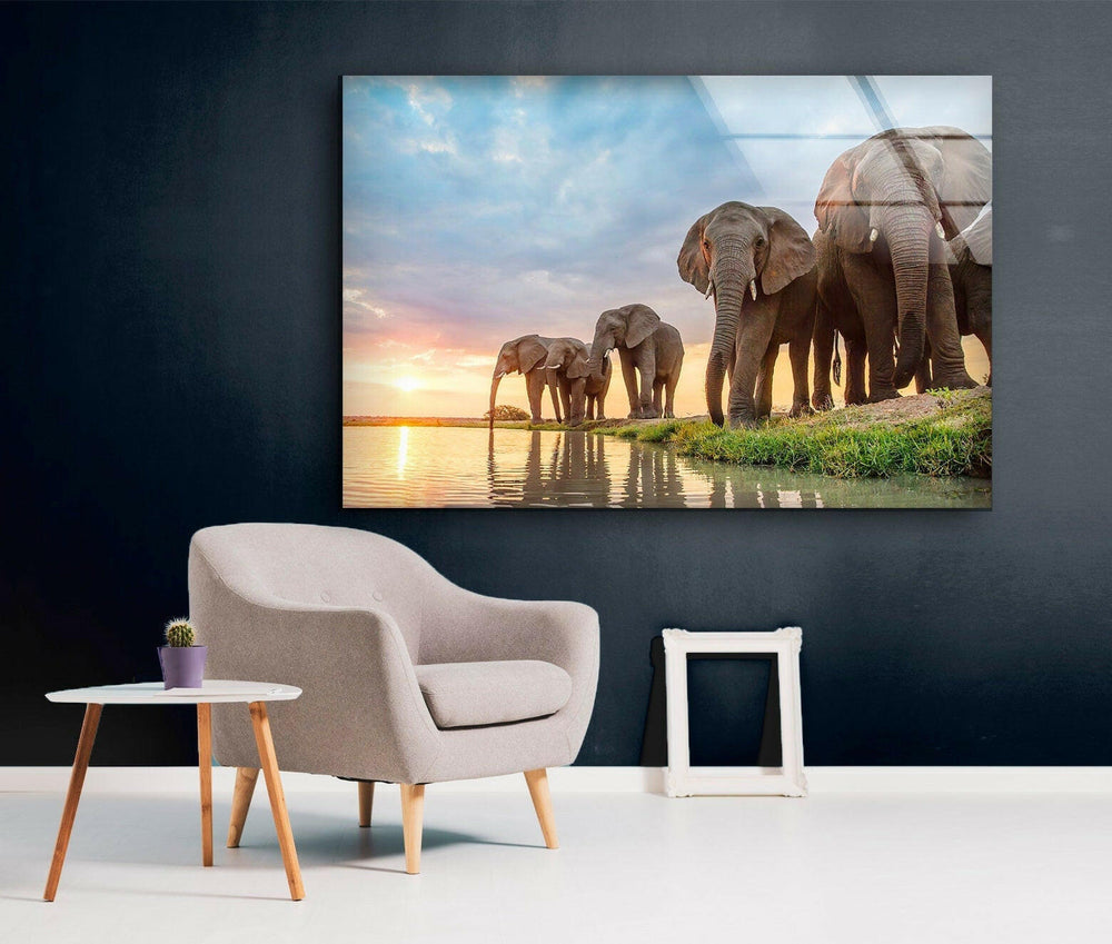 Safari Elephant Group Glass Wall Art large glass photo prints, glass wall photos