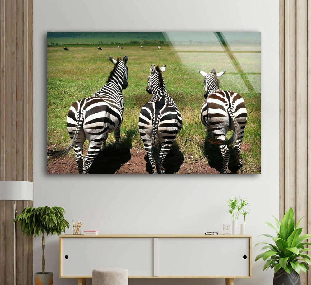 Safari Zebra Glass Wall Art custom glass photo prints, large glass prints