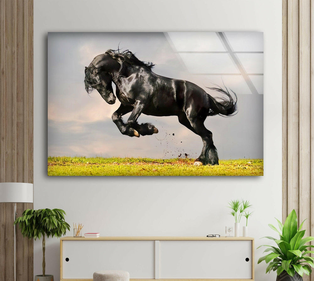 Friesian Horse Glass Wall Art glass photo prints, glass picture prints