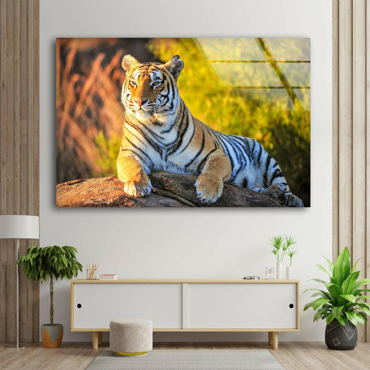 Tiger on The Rock Glass Wall Art print picture on glass, Tempered Glass Wall Art