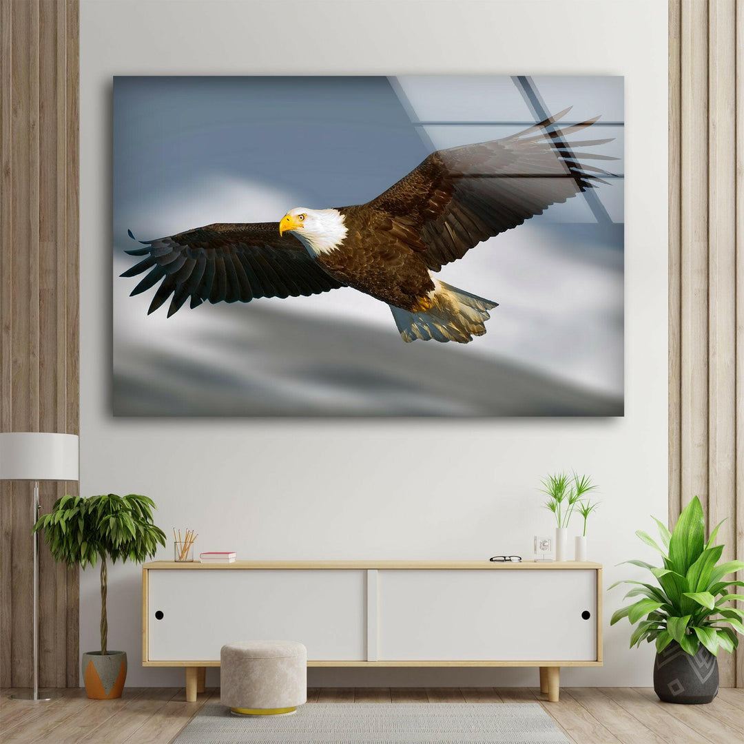 American Eagle Glass Wall Art Glass Printing Wall Art, Print photos on glass