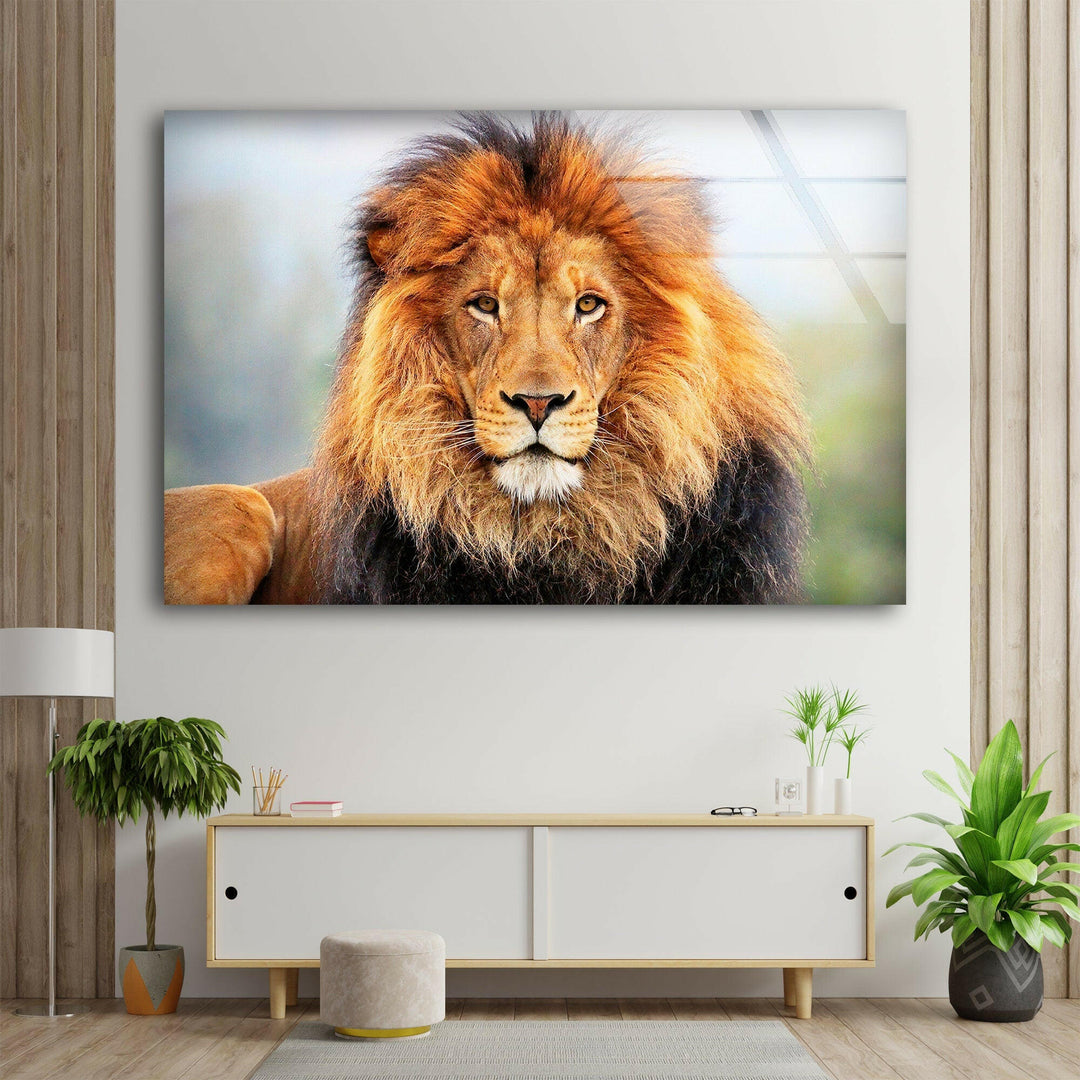 Wild Lion Portrait Glass Wall Art glass art painting, glass art for the Wall