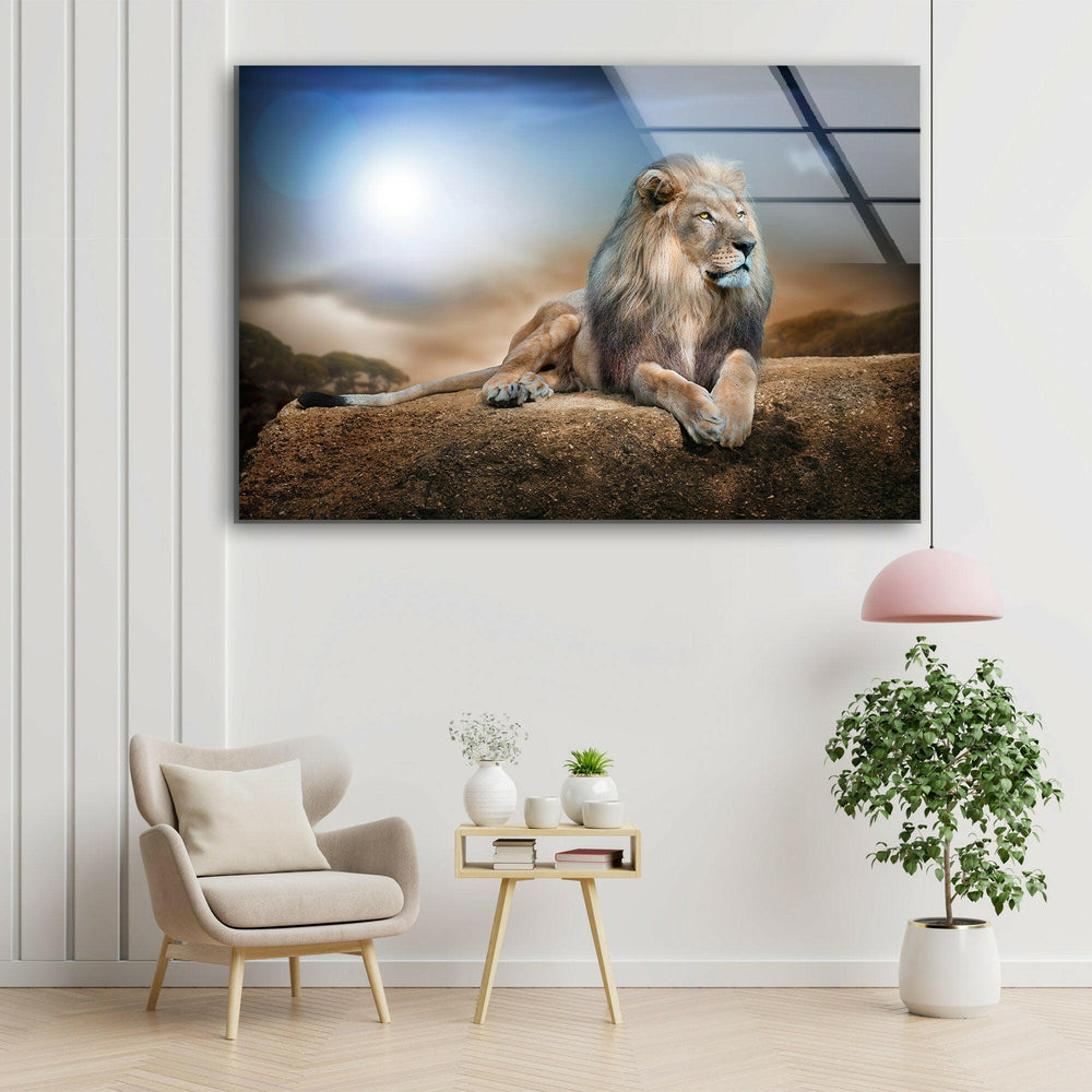 King Lion Laying Glass Wall Art large glass photo prints, glass wall photos