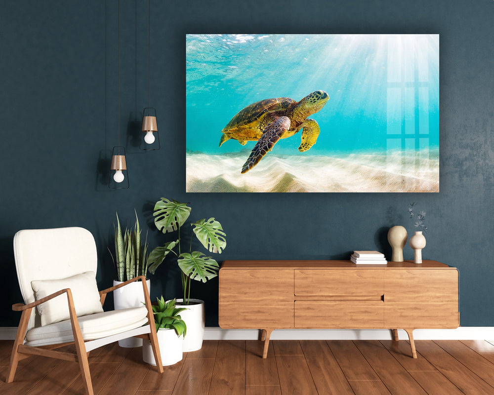 Sea Turtle Tropical Glass Wall Art glass photo prints, glass picture prints