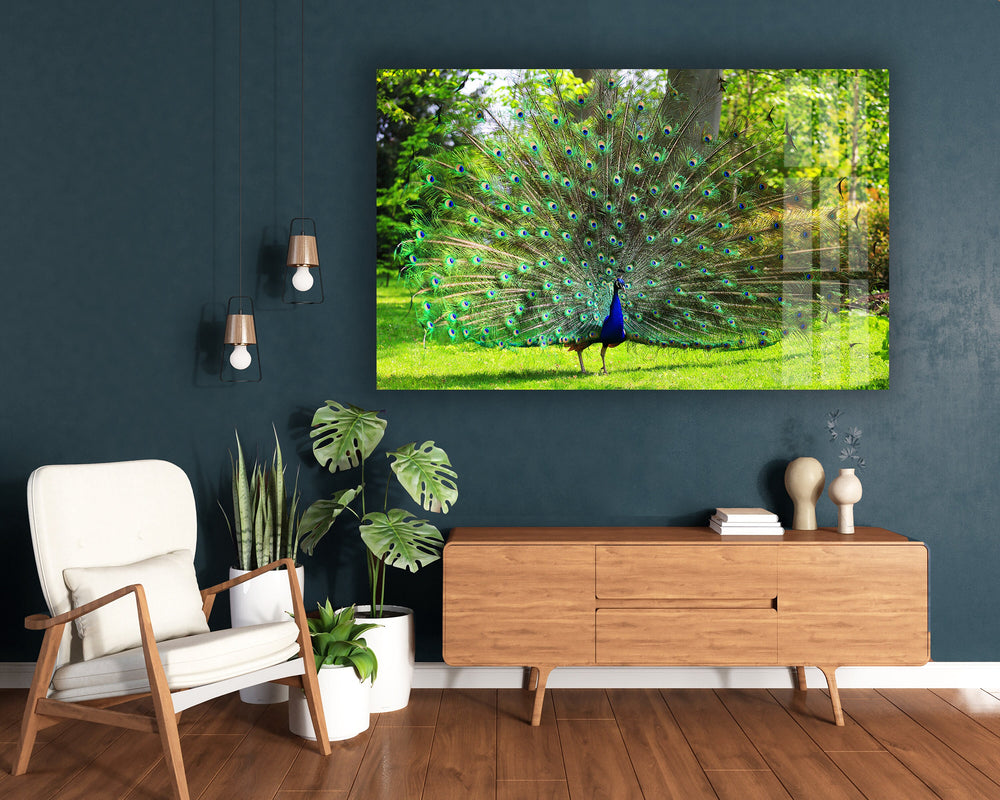 Peacock in Nature Glass Printing Wall Art, Print photos on glass