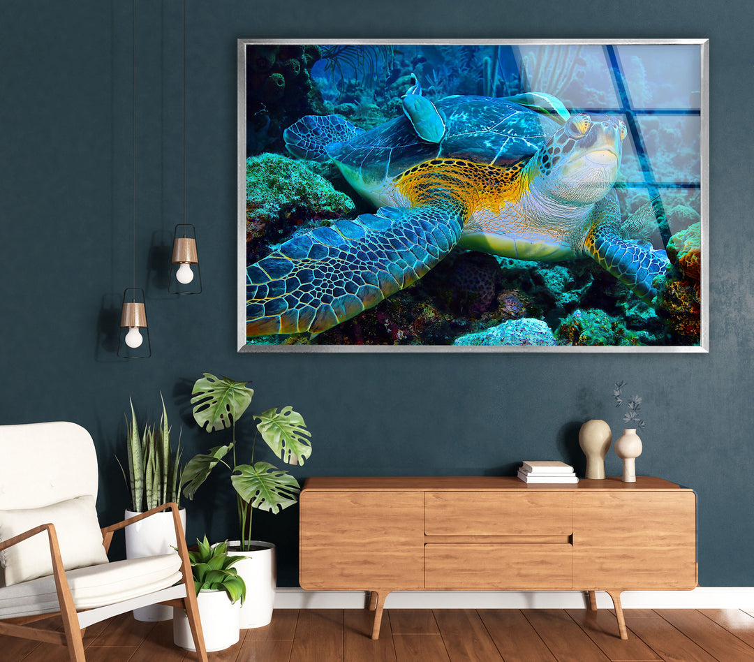 Graceful Sea Turtle Glass Wall Art glass pictures for Wall, glass prints wall art