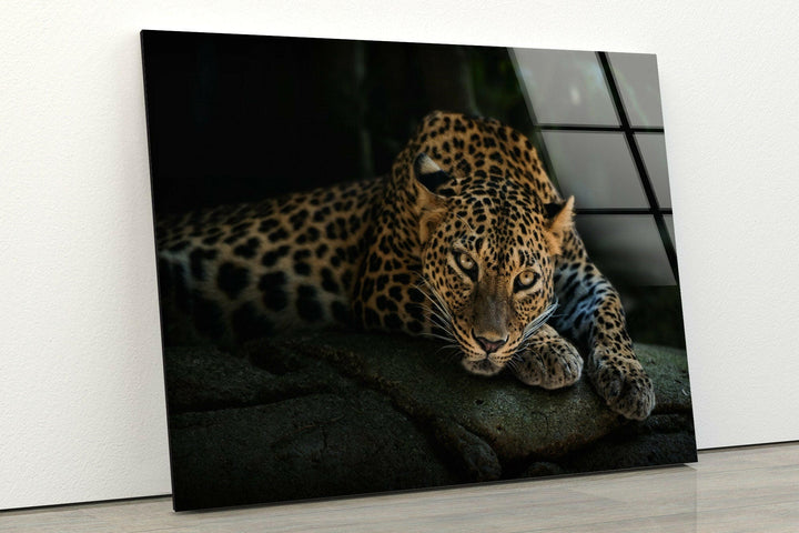 Fierce Leopard Glass Wall Art Glass Printing Wall Art, Print photos on glass